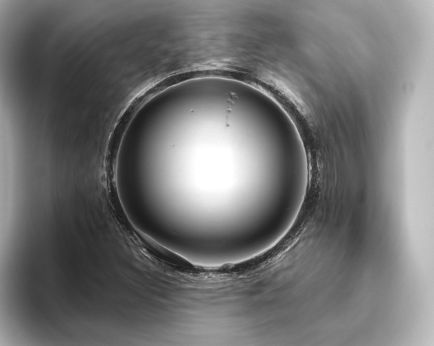 X0000096411308200801241213