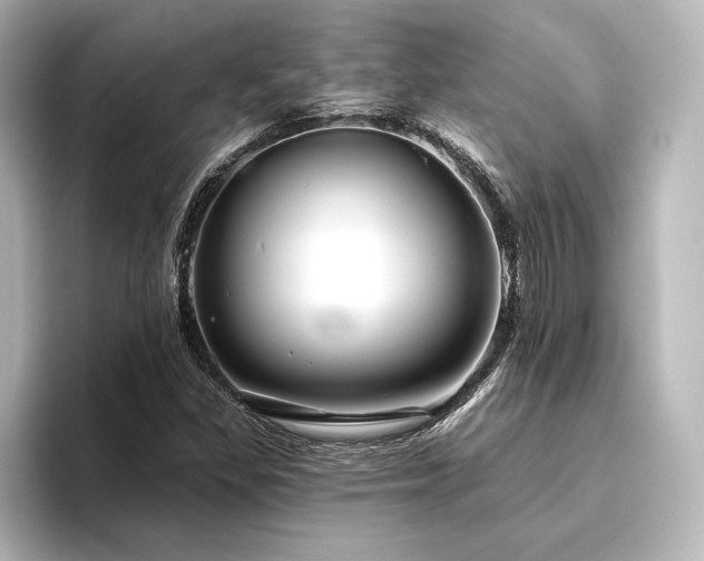 X0000096411309200801241213