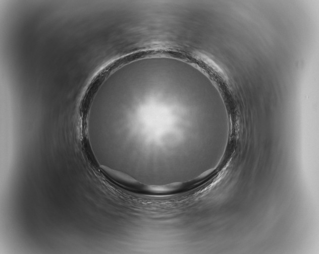 X0000096411310200801241213