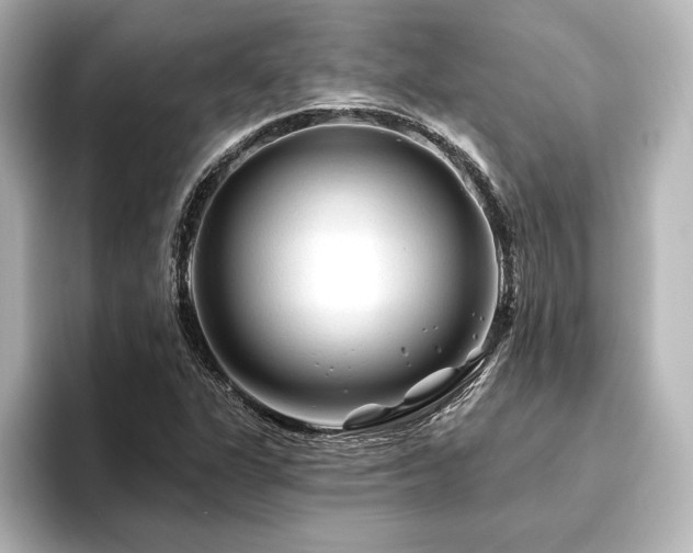 X0000096411311200801241213