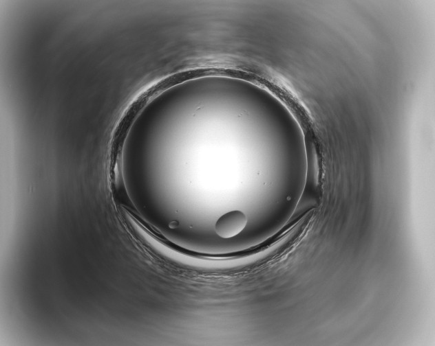 X0000096411312200801241213