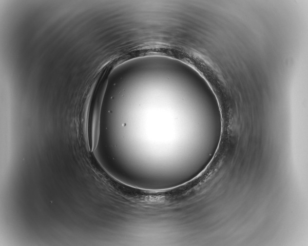 X0000096411313200801241213