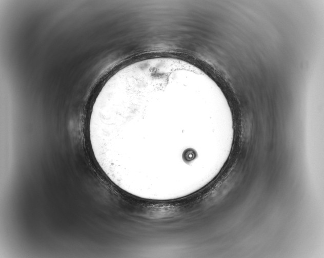 X0000096411314200801241213