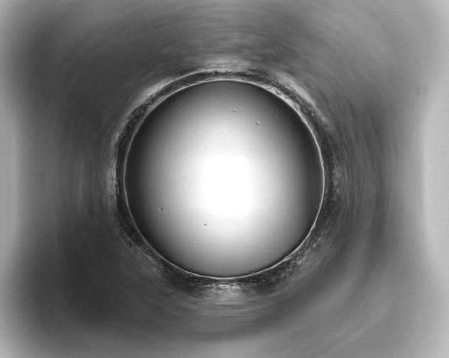 X0000096411315200801241213