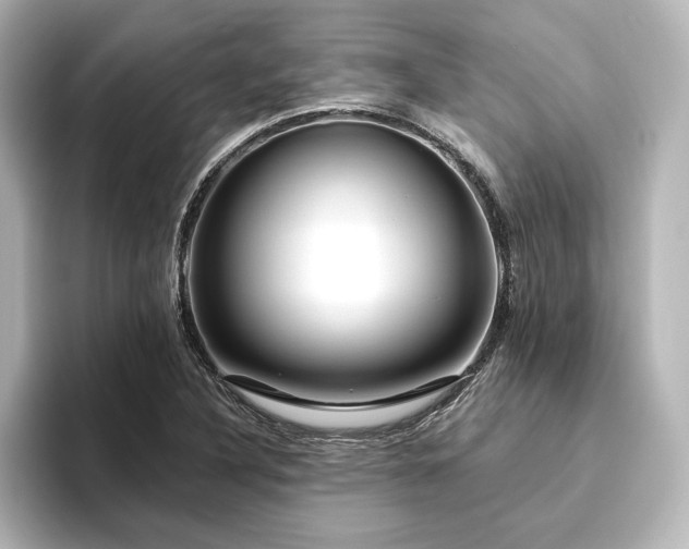 X0000096411316200801241213