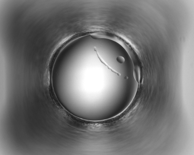 X0000096411317200801241213