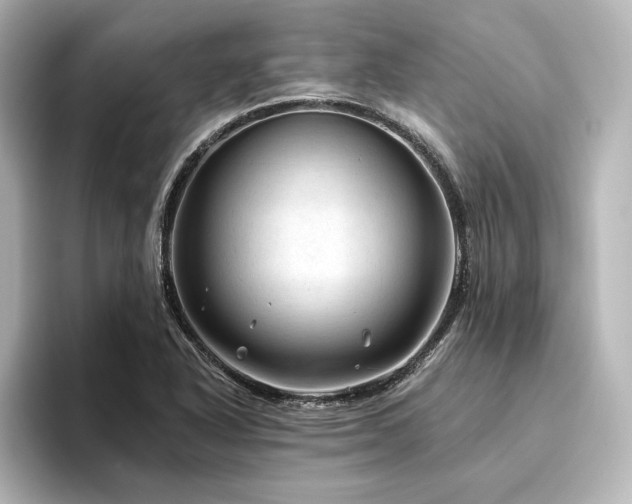 X0000096411318200801241213