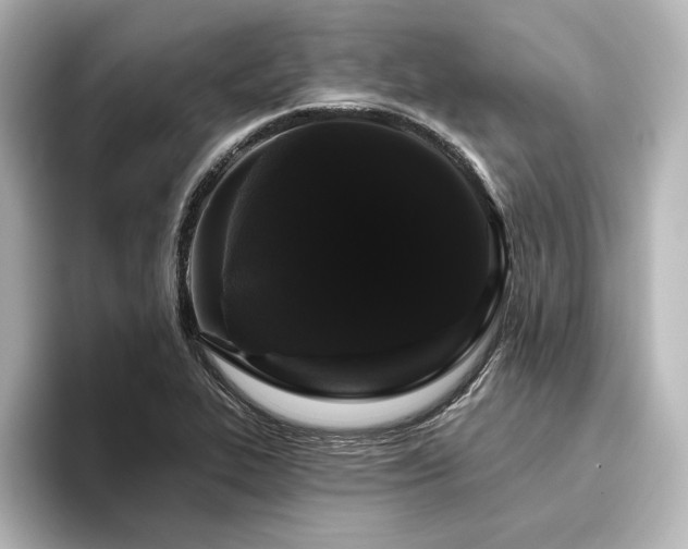 X0000096411319200801241213
