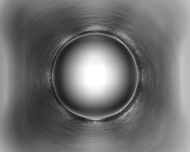 X0000096411321200801241213