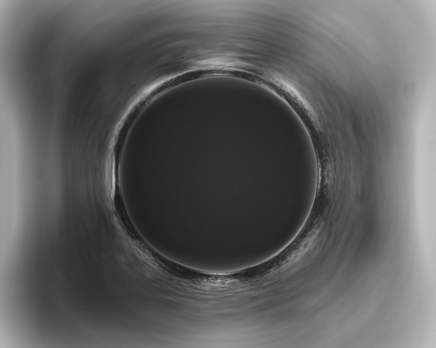 X0000096411323200801241213