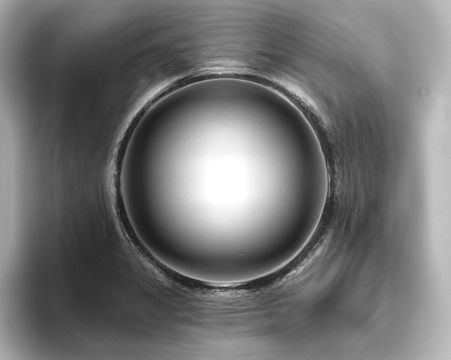 X0000096411325200801241213
