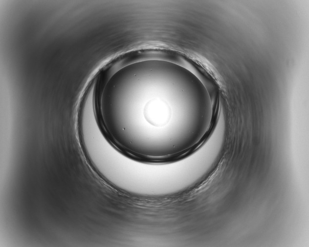 X0000096411326200801241213