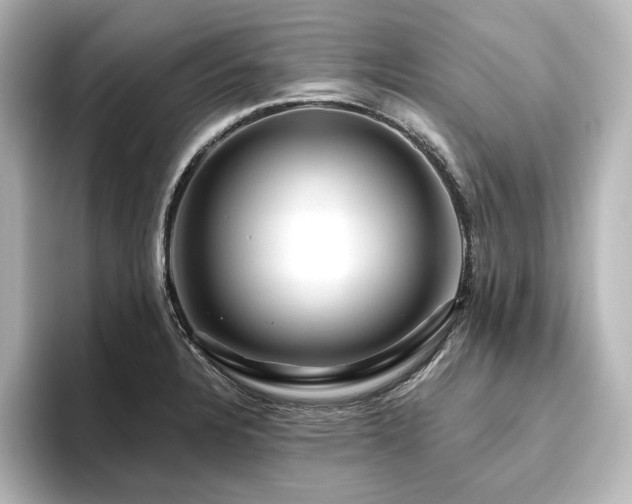 X0000096411328200801241213