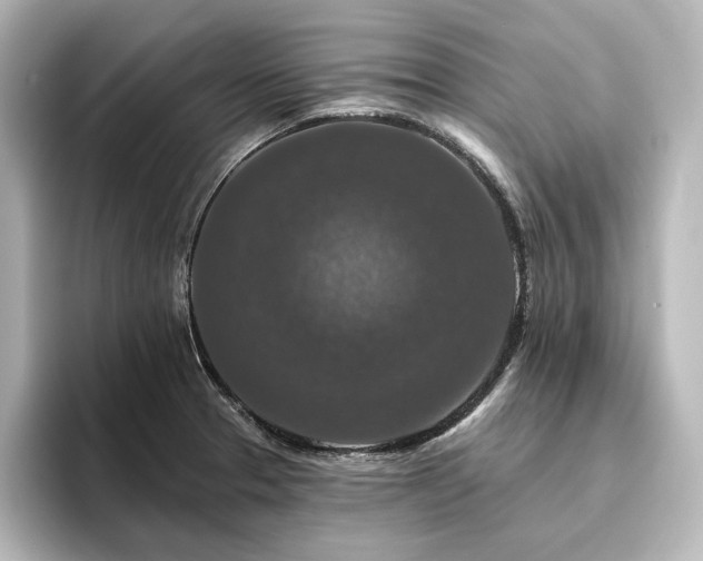 X0000096411329200801241213