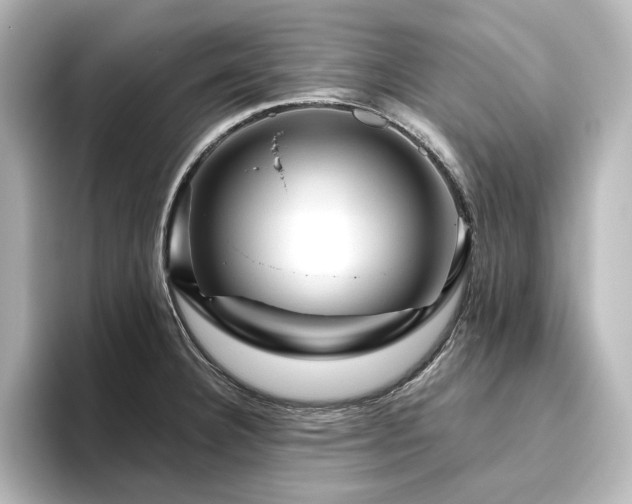 X0000096411332200801241213