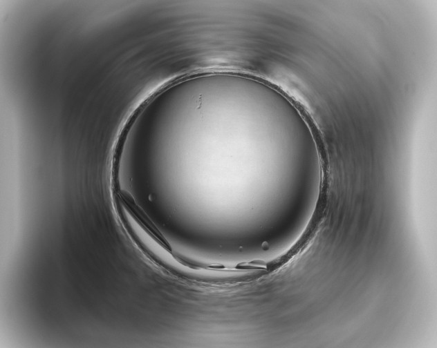 X0000096411333200801241213