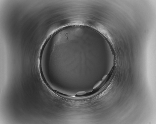 X0000096411334200801241213
