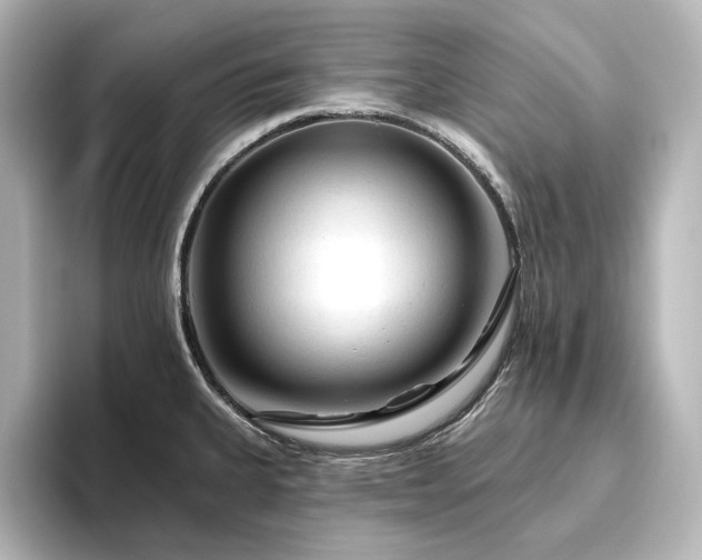 X0000096411335200801241213