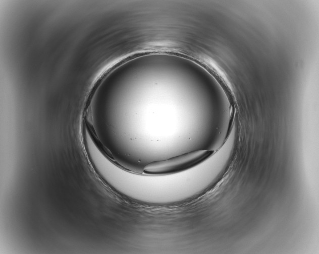 X0000096411336200801241213