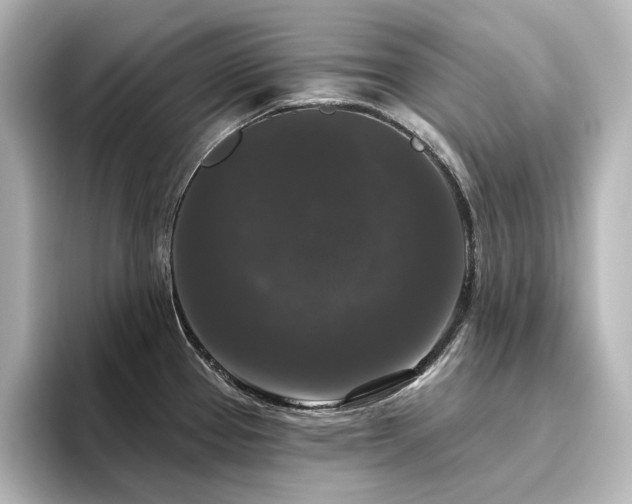 X0000096411337200801241213