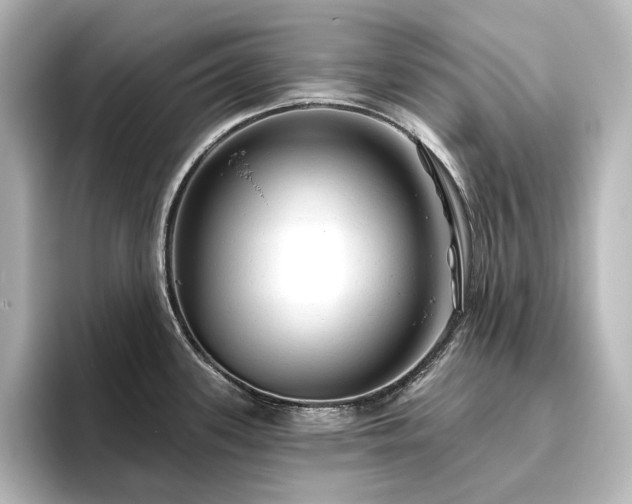 X0000096411339200801241213
