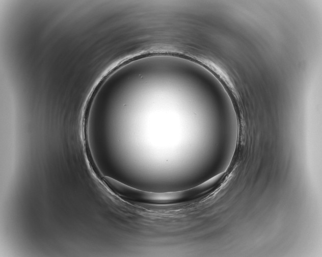 X0000096411342200801241213