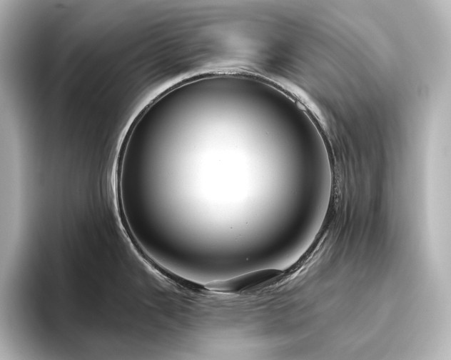 X0000096411343200801241213