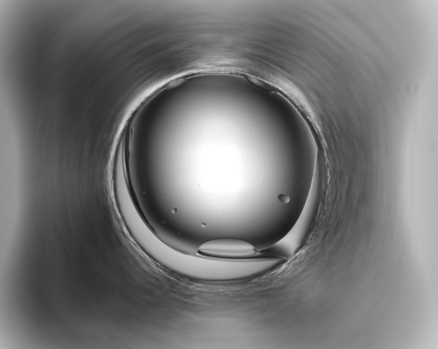 X0000096411344200801241213