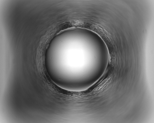 X0000096411345200801241212