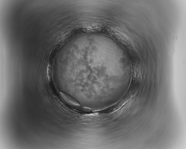 X0000096411346200801241212