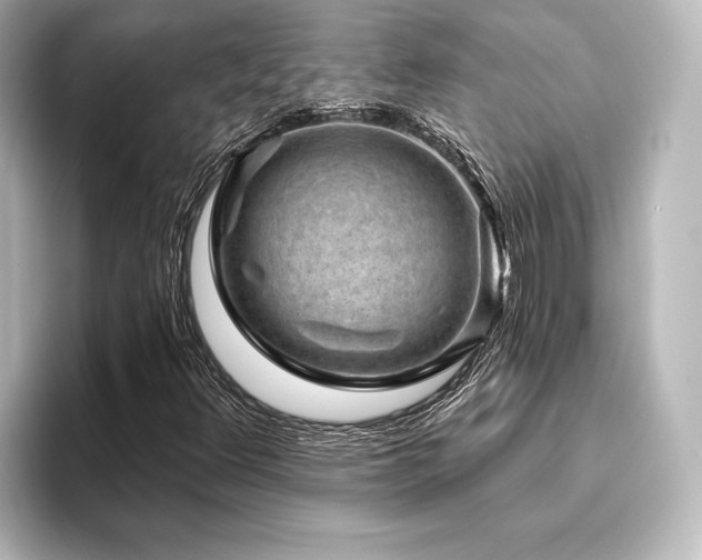 X0000096411348200801241212