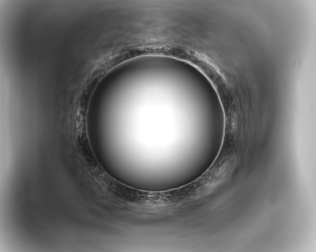 X0000096411350200801241212