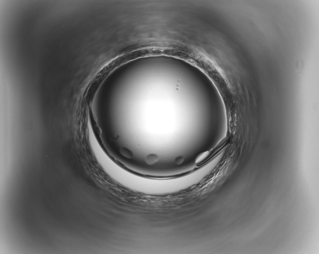 X0000096411352200801241212