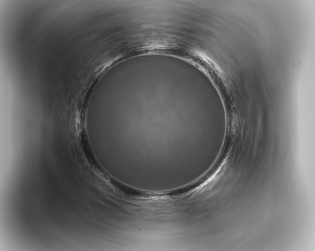 X0000096411353200801241212
