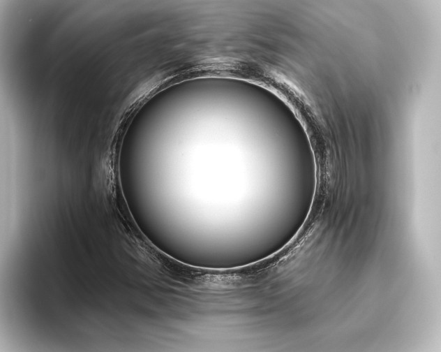 X0000096411354200801241212
