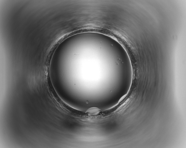 X0000096411355200801241212