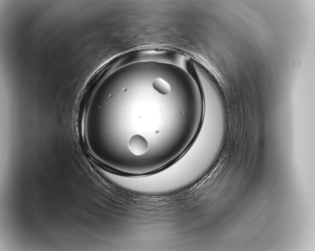 X0000096411356200801241212