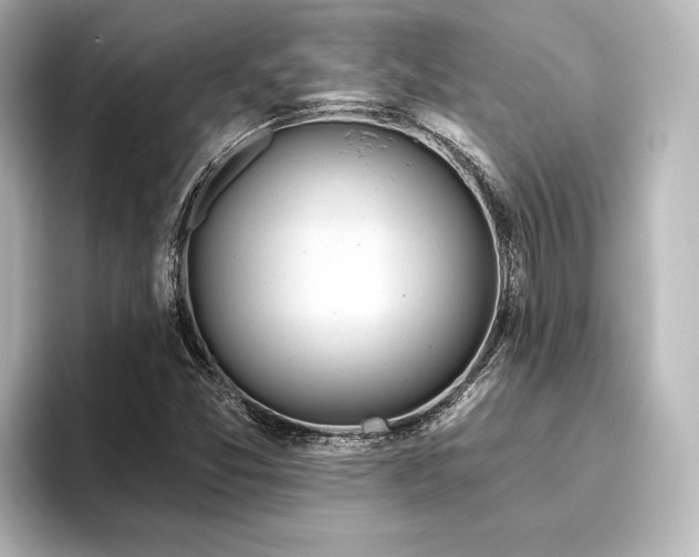 X0000096411357200801241212