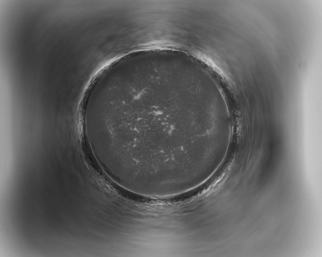 X0000096411358200801241212
