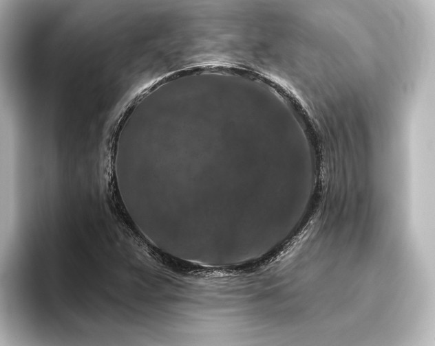 X0000096411359200801241212