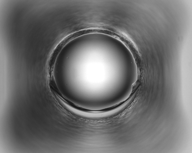 X0000096411360200801241212