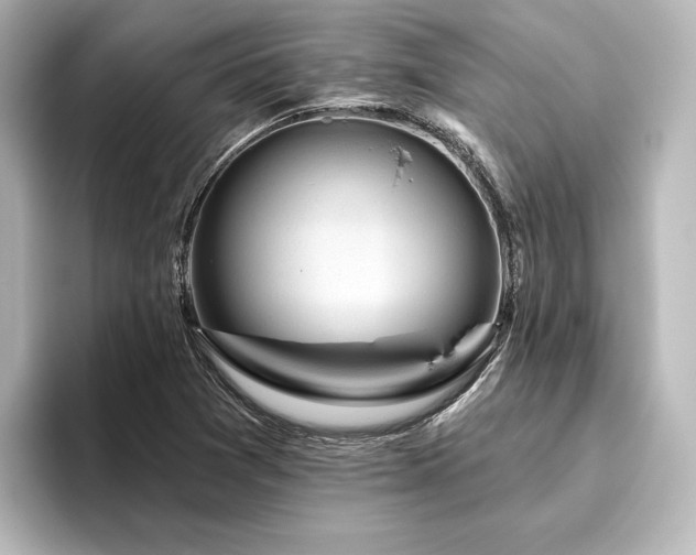 X0000096411361200801241212