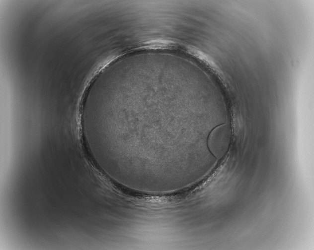 X0000096411362200801241212