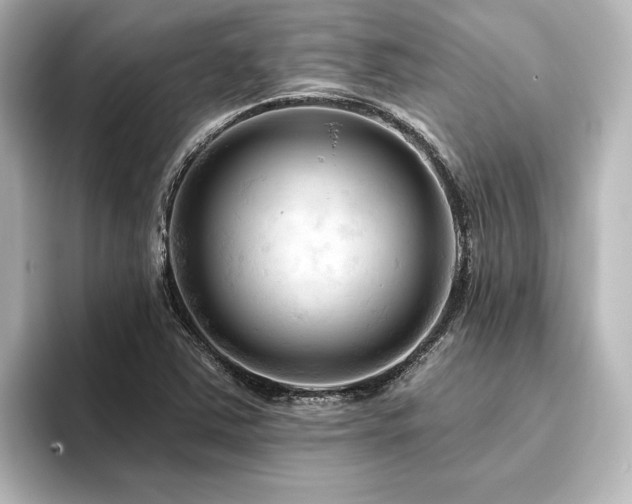 X0000096411363200801241212