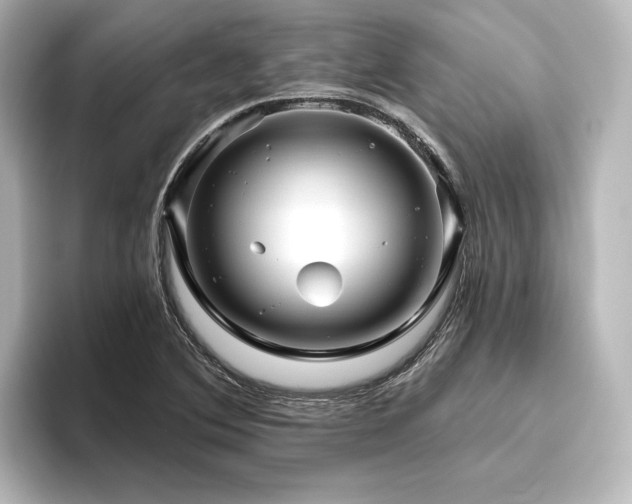 X0000096411364200801241212