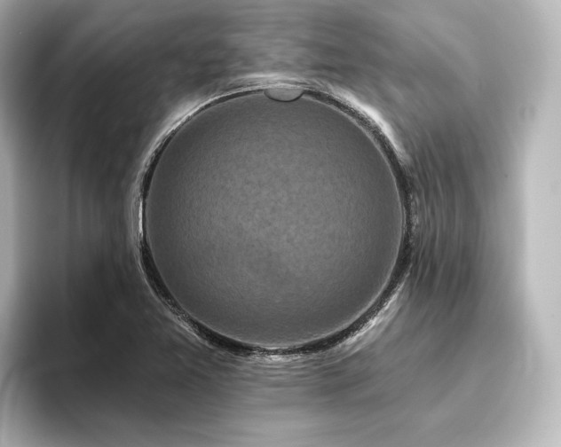 X0000096411365200801241212