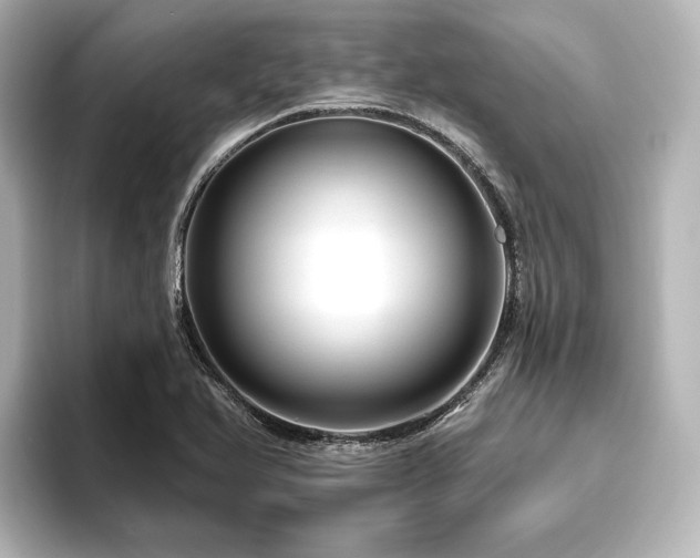 X0000096411366200801241212