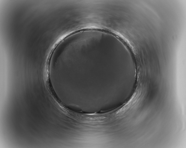 X0000096411367200801241212