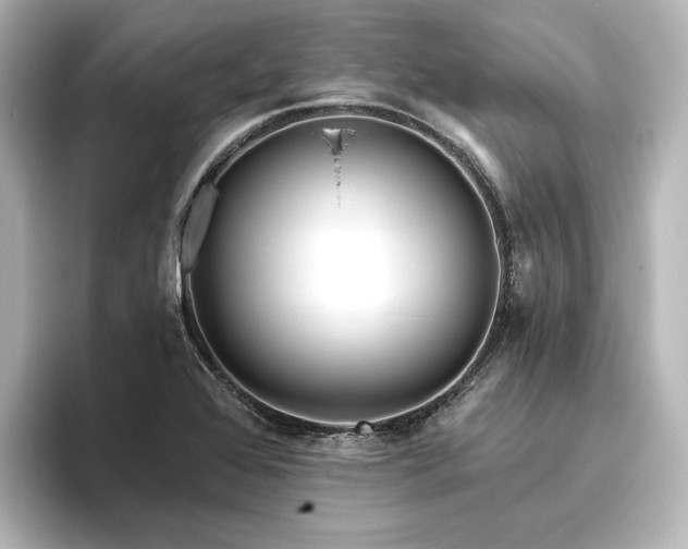X0000096411368200801241212