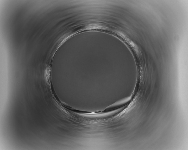 X0000096411369200801241212